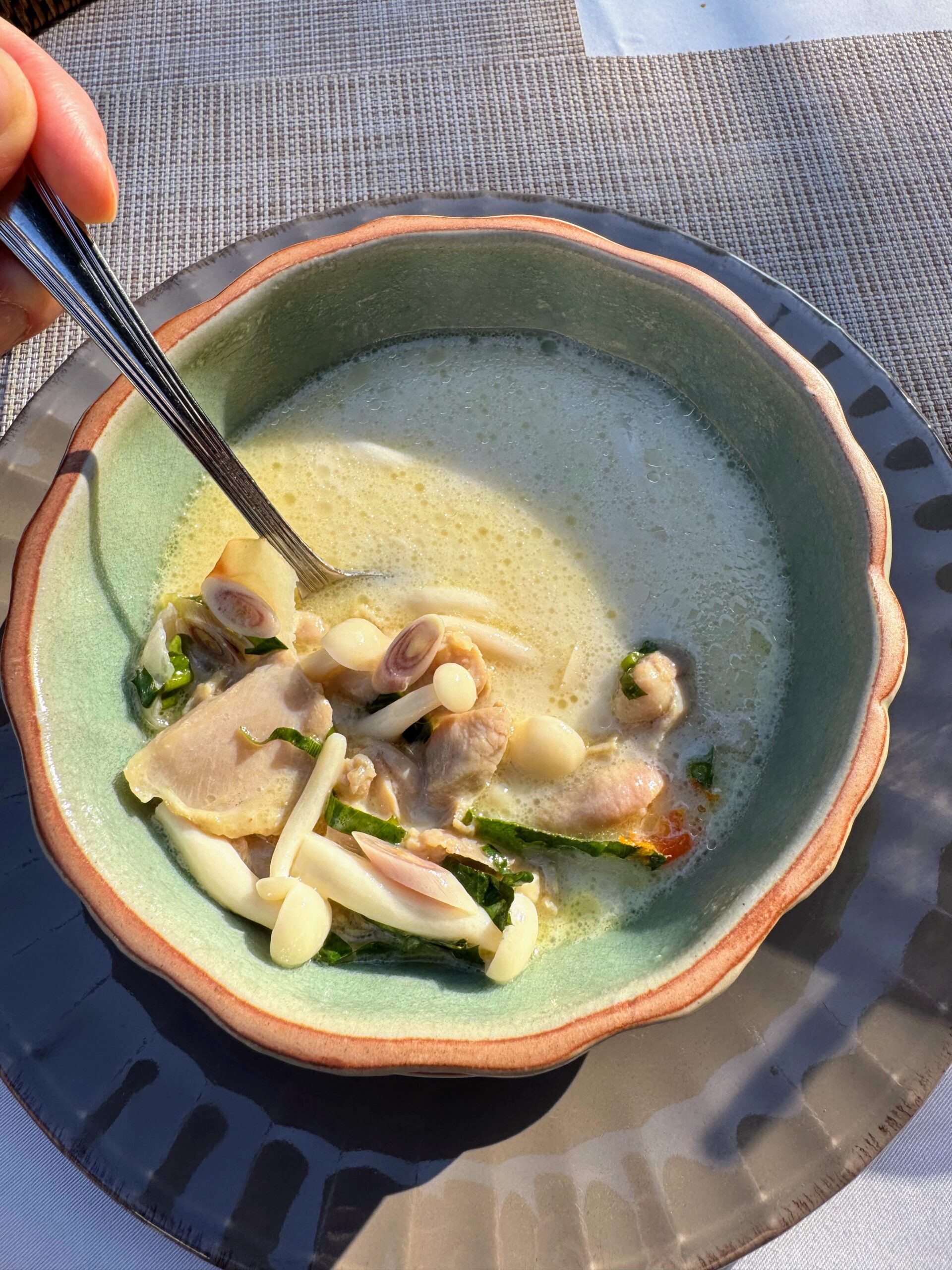 Coconut milk-based Thai soup